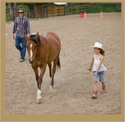 Equine Psychotherapy with Horses | Boulder, Longmont, CO | Twin Oaks Farm